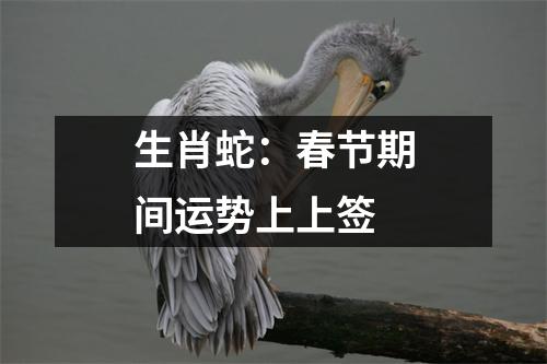 生肖蛇：春节期间运势上上签