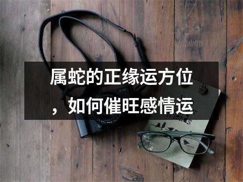 属蛇的正缘运方位，如何催旺感情运