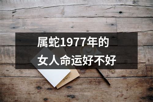 属蛇1977年的女人命运好不好