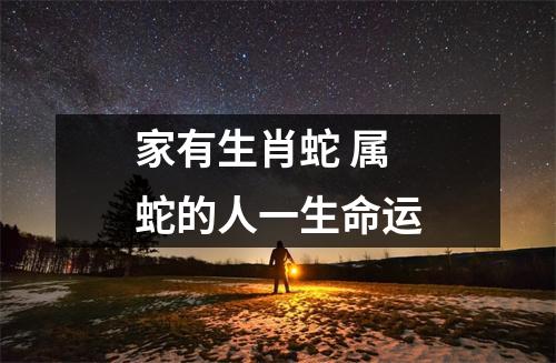 家有生肖蛇属蛇的人一生命运