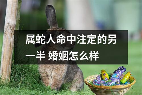 属蛇人命中注定的另一半婚姻怎么样