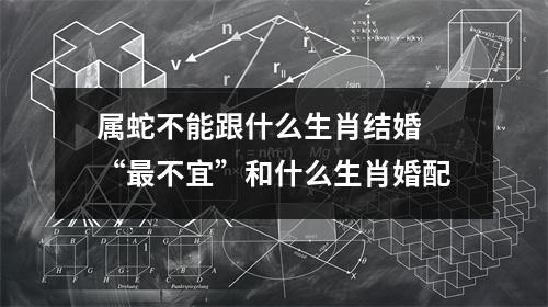 <h3>属蛇不能跟什么生肖结婚“不宜”和什么生肖婚配