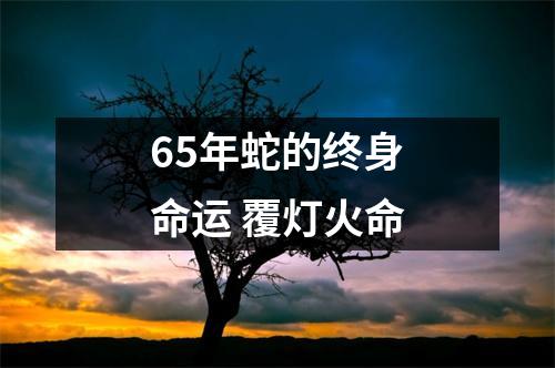 65年蛇的终身命运覆灯火命
