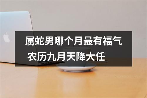 属蛇男哪个月有福气农历九月天降大任