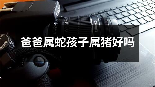 爸爸属蛇孩子属猪好吗