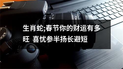 生肖蛇;春节你的财运有多旺喜忧参半扬长避短