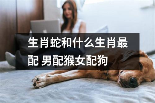生肖蛇和什么生肖配男配猴女配狗