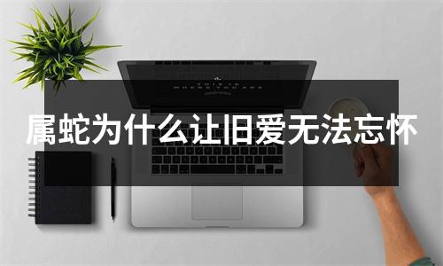 属蛇为什么让旧爱无法忘怀