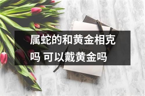 属蛇的和黄金相克吗可以戴黄金吗