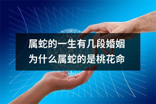 属蛇的一生有几段婚姻为什么属蛇的是桃花命