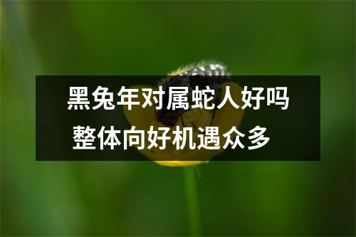 黑兔年对属蛇人好吗整体向好机遇众多