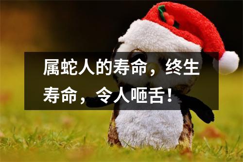 属蛇人的寿命，终生寿命，令人咂舌！