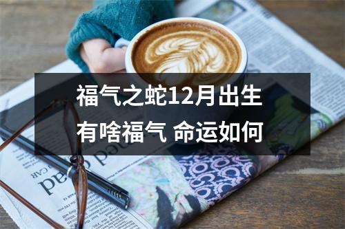 福气之蛇12月出生有啥福气命运如何