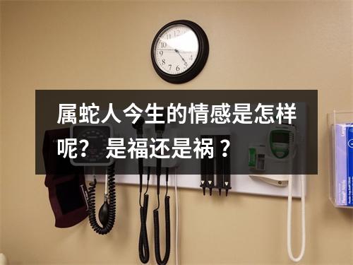 属蛇人今生的情感是怎样呢？是福还是祸？