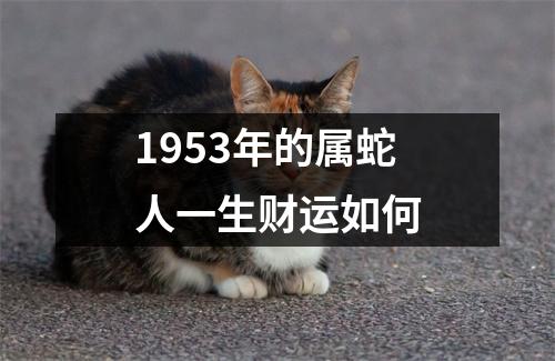 1953年的属蛇人一生财运如何