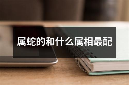 属蛇的和什么属相配