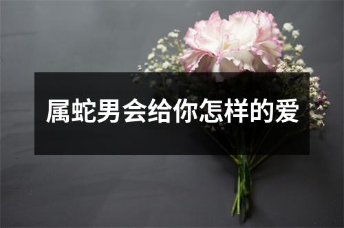 属蛇男会给你怎样的爱
