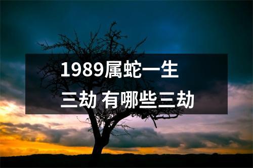 1989属蛇一生三劫有哪些三劫