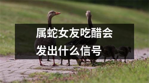 属蛇女友吃醋会发出什么信号