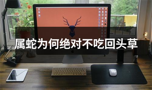 属蛇为何绝对不吃回头草