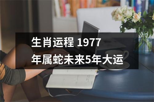 生肖运程1977年属蛇未来5年大运