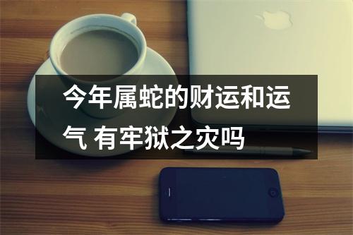 今年属蛇的财运和运气有牢狱之灾吗