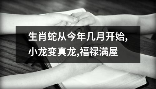 生肖蛇从今年几月开始,小龙变真龙,福禄满屋