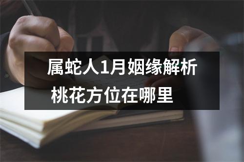 属蛇人1月姻缘解析桃花方位在哪里