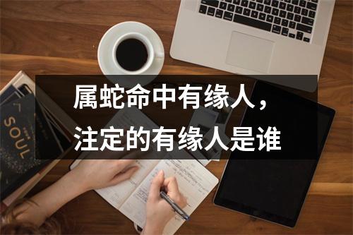 属蛇命中有缘人，注定的有缘人是谁