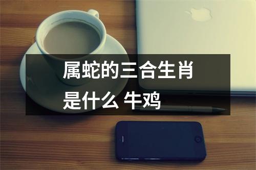 属蛇的三合生肖是什么牛鸡