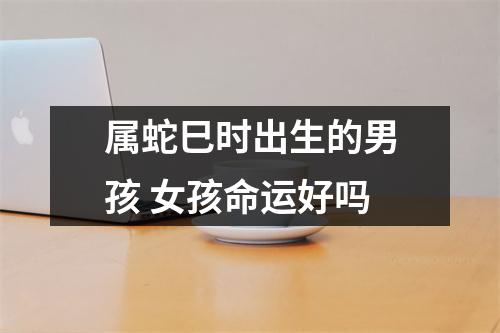 属蛇巳时出生的男孩女孩命运好吗