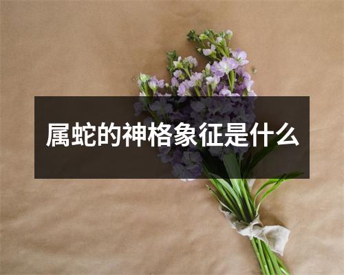 属蛇的神格象征是什么
