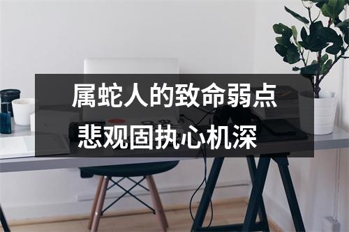 属蛇人的致命弱点悲观固执心机深