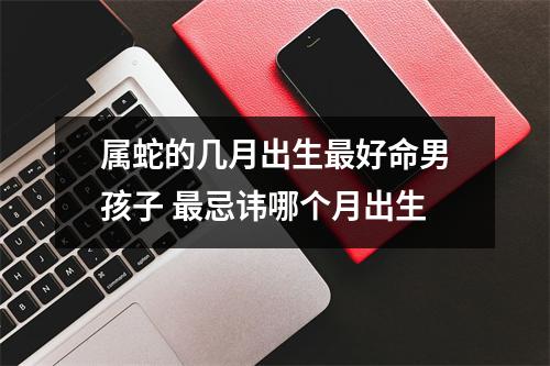 属蛇的几月出生好命男孩子忌讳哪个月出生