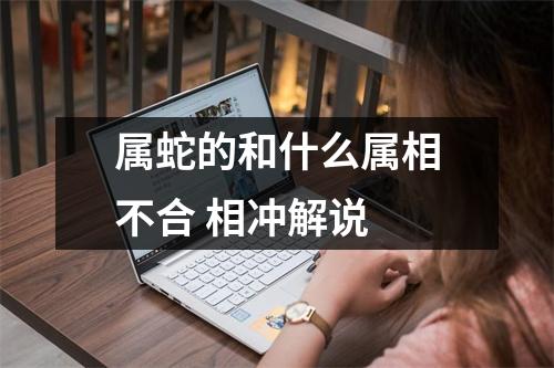 属蛇的和什么属相不合相冲解说