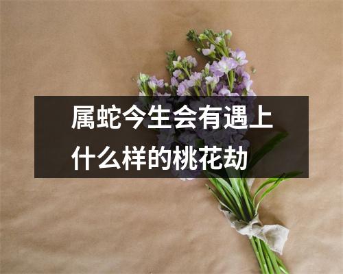 属蛇今生会有遇上什么样的桃花劫