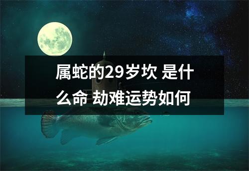 属蛇的29岁坎是什么命劫难运势如何