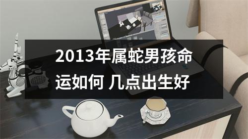 2013年属蛇男孩命运如何几点出生好