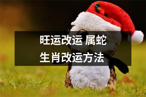 <h3>旺运改运属蛇生肖改运方法