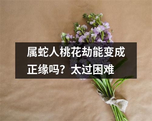 属蛇人桃花劫能变成正缘吗？太过困难