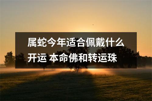 属蛇今年适合佩戴什么开运本命佛和转运珠