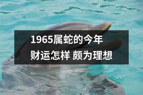 1965属蛇的今年财运怎样颇为理想