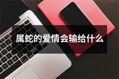 属蛇的爱情会输给什么