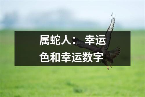属蛇人：幸运色和幸运数字