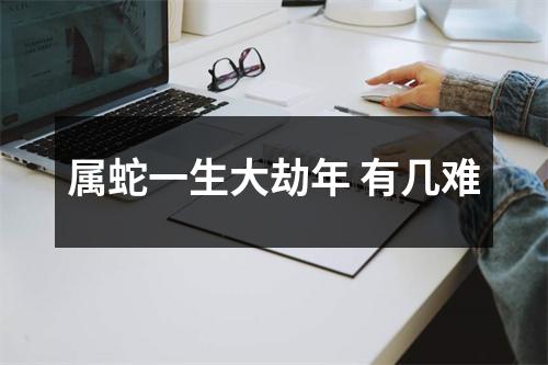 属蛇一生大劫年有几难