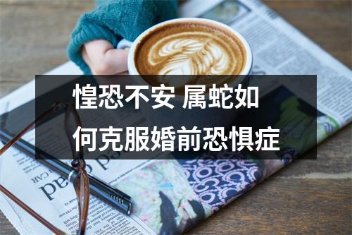 惶恐不安属蛇如何克服婚前恐惧症