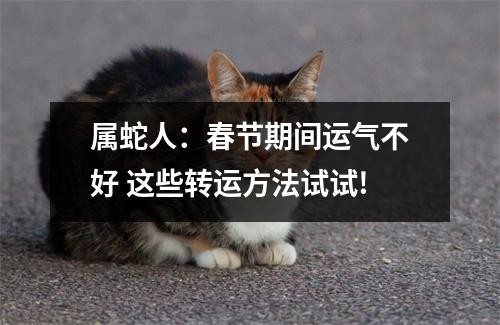 属蛇人：春节期间运气不好这些转运方法试试!