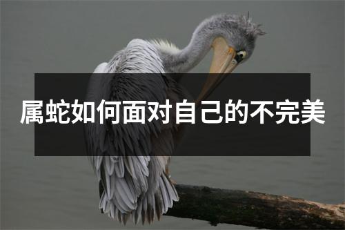 属蛇如何面对自己的不完美