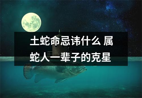 土蛇命忌讳什么属蛇人一辈子的克星