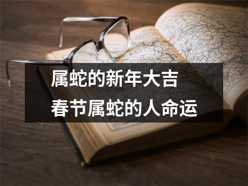 属蛇的新年大吉春节属蛇的人命运